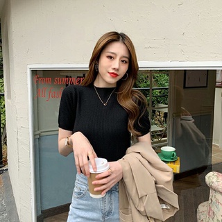 ÁO LEN CỘC TAY CỔ 3 PHÂN ĐỦ 8 MÀU