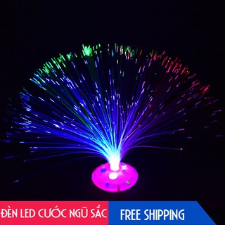 ĐÈN LED CƯỚC NGŨ SẮC SỢI QUANG TRANG TRÍ ĐỔI MÀU LẤP LÁNH TRONG ĐÊM