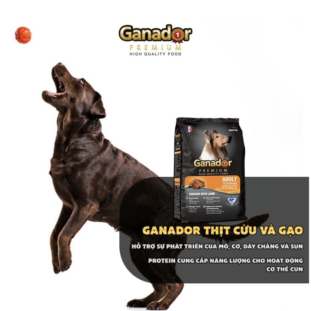 [3kg]Thức ăn cho chó trưởng thành Ganador vị thịt cừu + cá hồi + gà