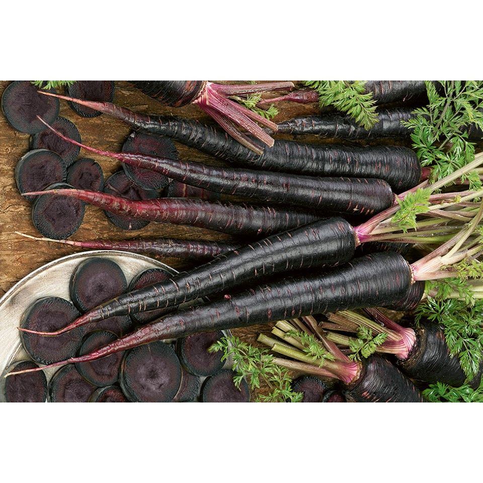 50 Hạt Giống Cà Rốt Đen Tím Black Giàu Anthocyanin