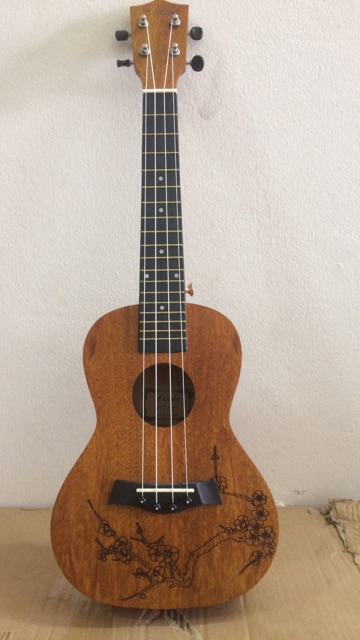 Đàn ukulele 23 inch Ukulele concert full phụ kiện Full gỗ mahogany hồng đào Bắc phi