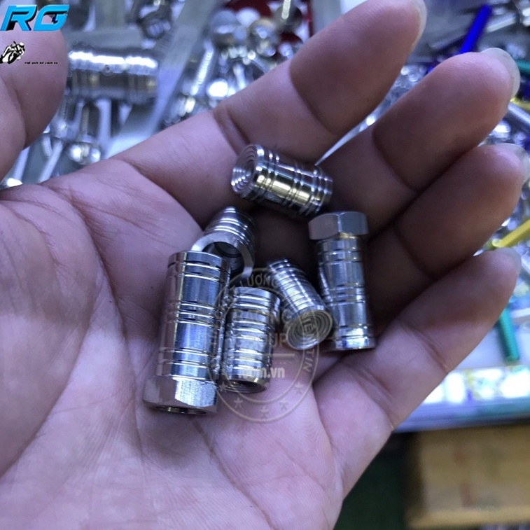 Chụp Van Vòi Salaya Chất Liệu Inox 304 Không Xuống Màu Hình Trụ (1 Cặp)