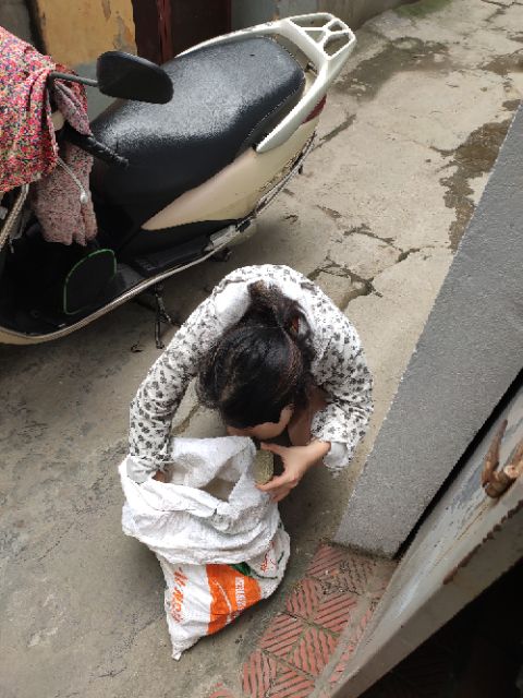 [Freeship toàn quốc] Đá tắm suối tự nhiên tẩy lông | BigBuy360 - bigbuy360.vn