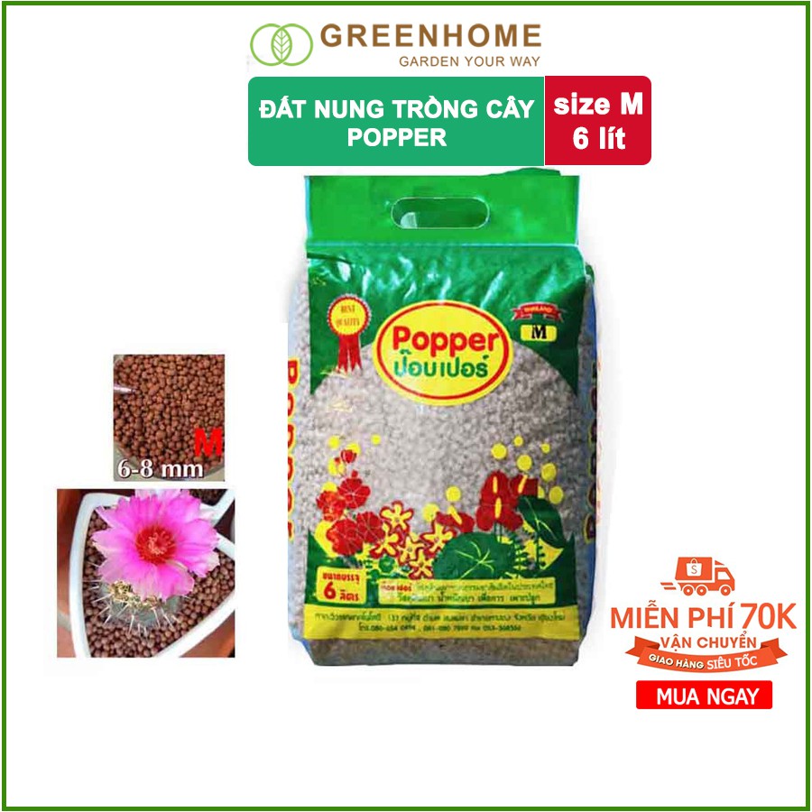 Miễn Phi Vận Chuyển 70k đất Nung Trồng Sen đa 6 Lit Popper Thailand Size M 1 5 Kg Gia Cạnh Tranh