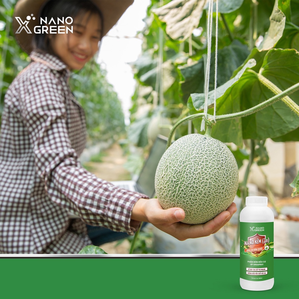Phân bón nano kẽm  Nano Xgreen cung cấp dưỡng chất ngừa rụng lá, rụng trái, vàng lá, bạc lá, lá bị biến dạng 500ML