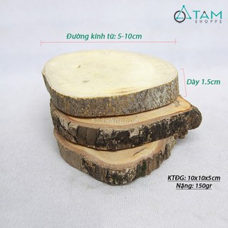 Lát gỗ mini trang trí số 02 (Nhìu cỡ) tttm