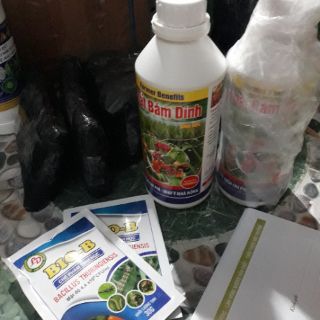 Chất bám dính sinh học 500ml