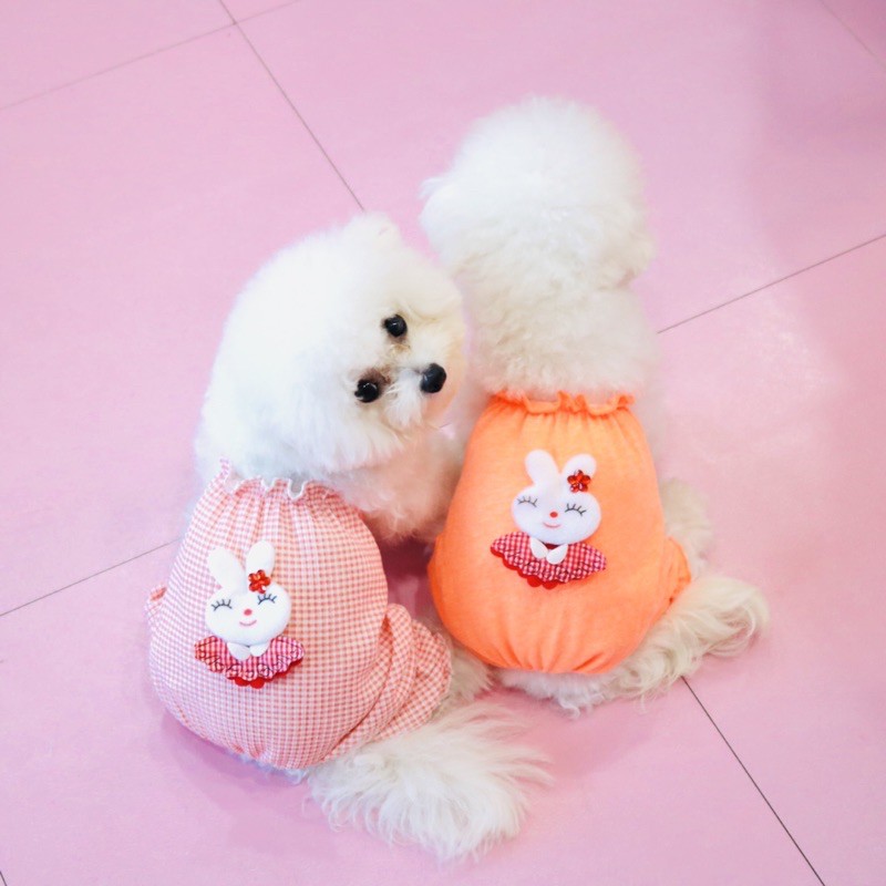 Jumpsuit Thun Cho Các Boss