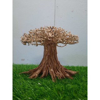 Lũa Cổ Thụ nấm cấy rêu.( ngan 25cm cao 20cm )