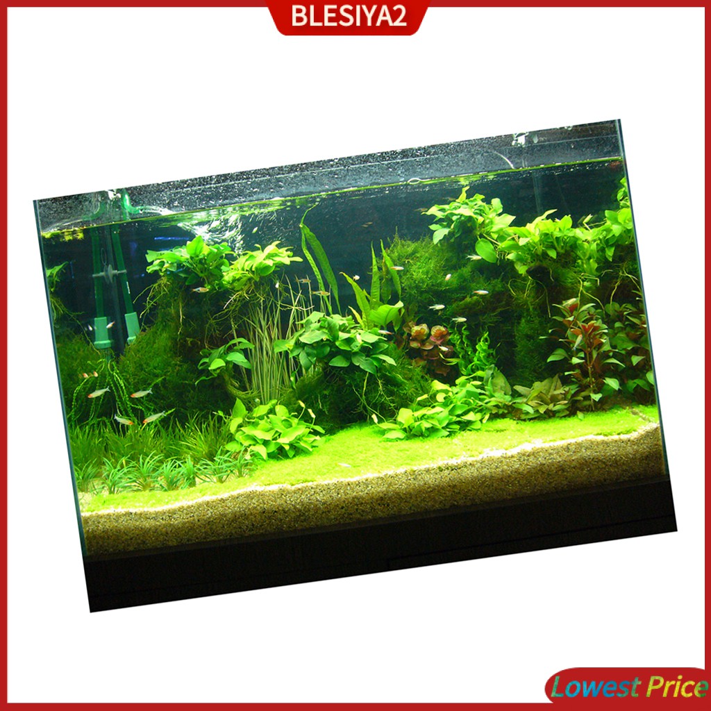 [Blesiya2] Phông Nền Bể Cá 3D Tĩnh Điện 61x30cm
