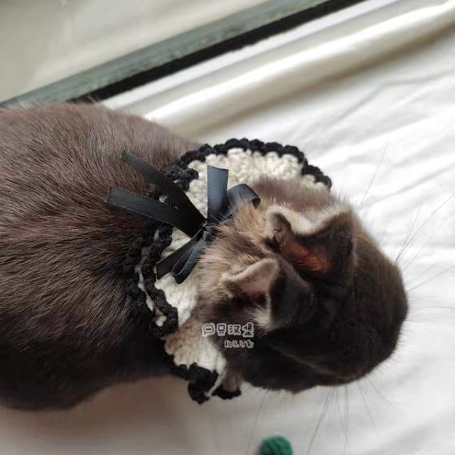 Yến len dành cho thỏ, mèo, cún...