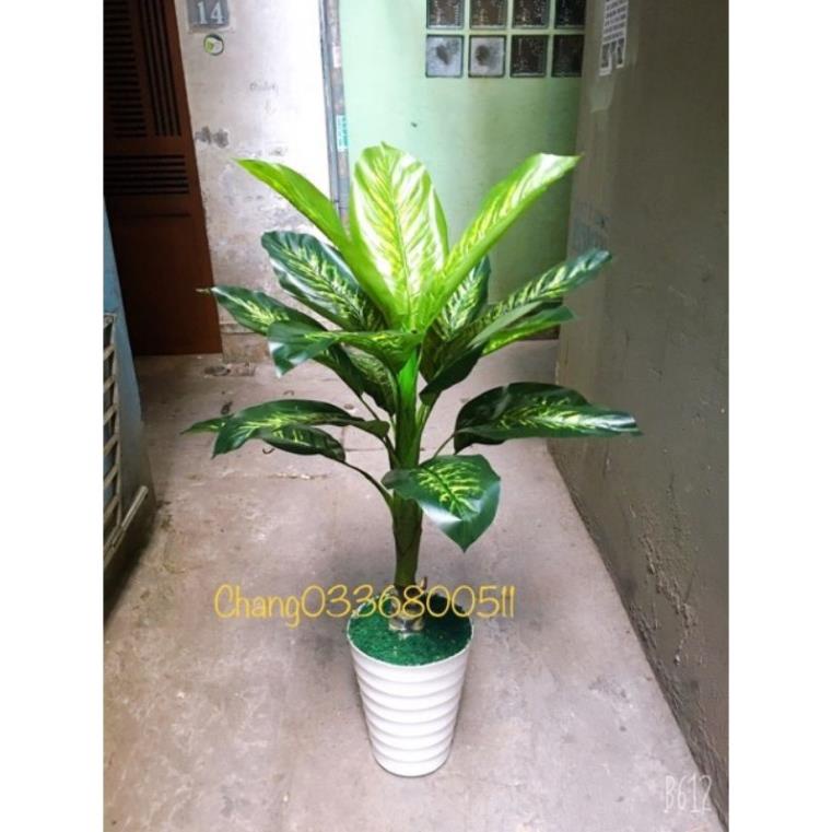 Cây Ngân Hà giả 1 thân 1,2m