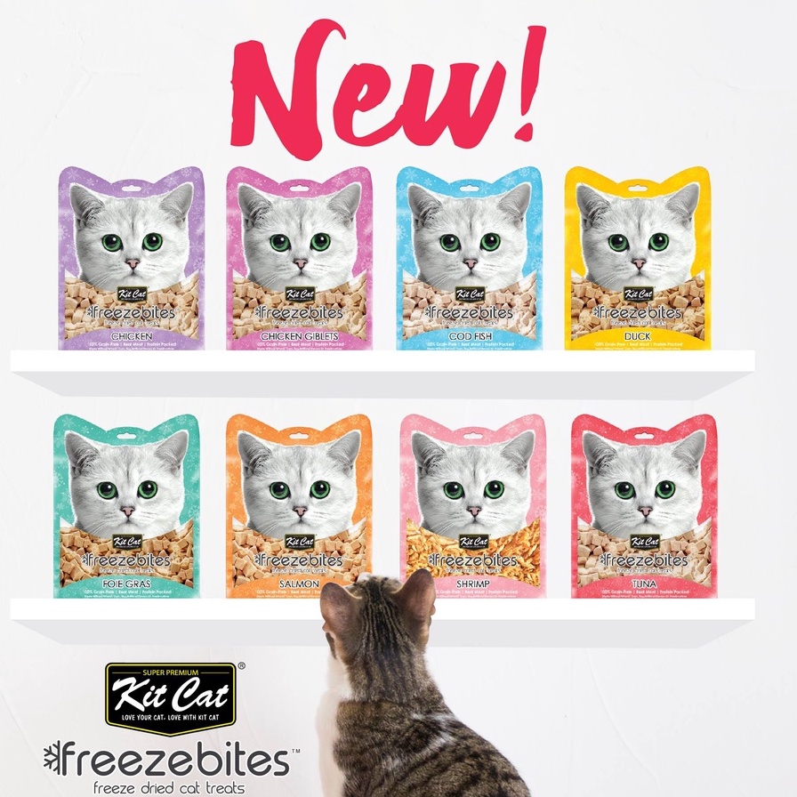 Snack sấy khô Freeze Bites Kit Cat cho mèo 15g