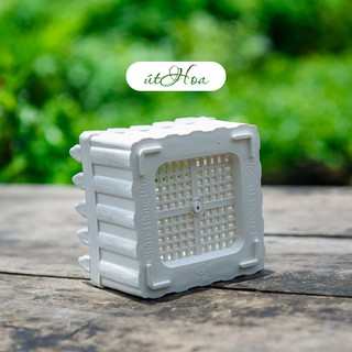 Chậu Hàng Rào dài 2 tấc trồng hoa kiểng dễ thương