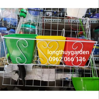 Combo giá treo kèm 3 chậu v16cm
