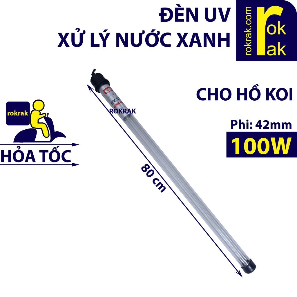 Đèn UV 100W 60W King Ste. Lọc UV xử lý nước xanh tảo lục cho hồ Koi