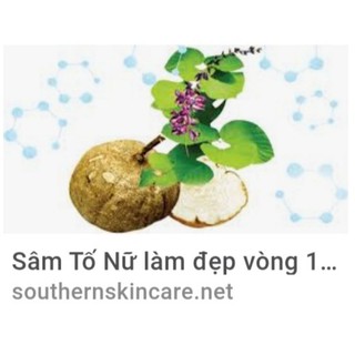 Bột sâm tố nữ 200g