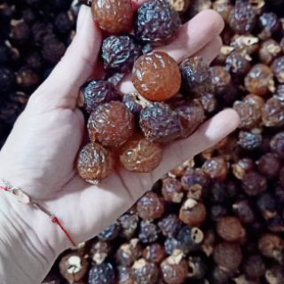BỒ HÒN TÁCH HẠT