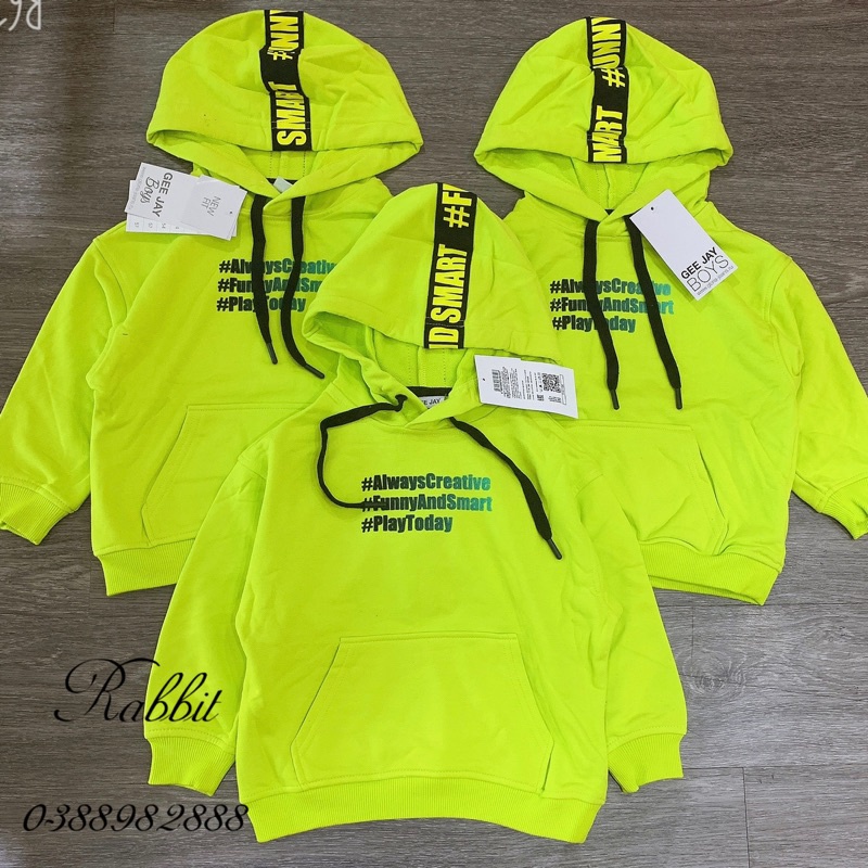 Áo nỉ hoodie