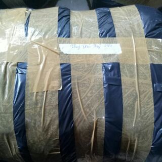 Comboo áo phao thuy thai thuy 250