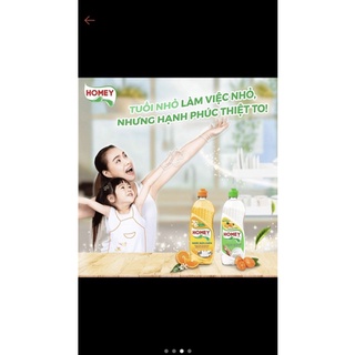 Nước rửa bát Homey