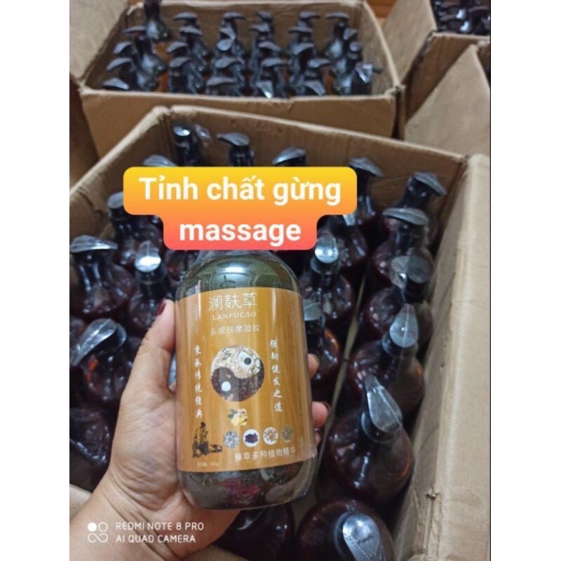 -BỘ TAM BẢO THƯỢNG PHU THẢO DƯỠNG TÂM MV