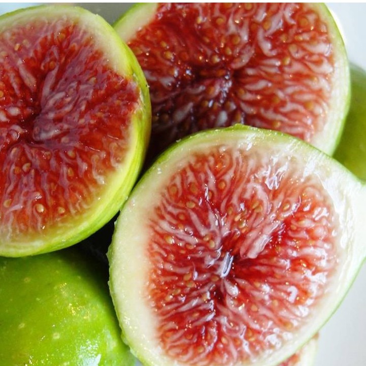 Hạt giống Sung ngọt Mỹ gói 10 hạt - tặng kèm 3 viên nén ươm hạt - HGT