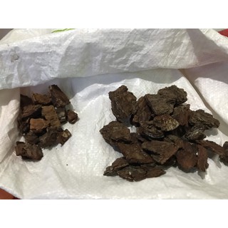 combo 3kg vỏ thông size 1-2 cm và 5 kg vỏ thông size 3-4 cm
