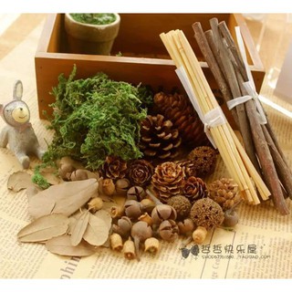 Phụ kiện chụp ảnh - đạo cụ set thông khô