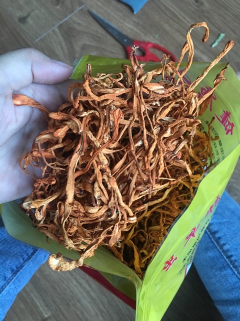 Đông trùng hạ thảo sấy khô gói 100g