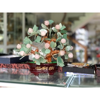 Cây đào thach_anh hồng 25cm