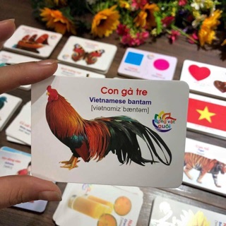 Bộ thẻ học Thông minh cho bé