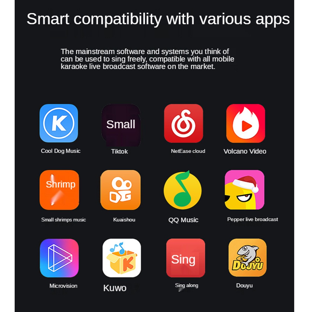 Máy Hát Karaoke YS-203 Không Dây Tích Hợp Micro Chất Lượng Cao Loa bluetooth karaoke