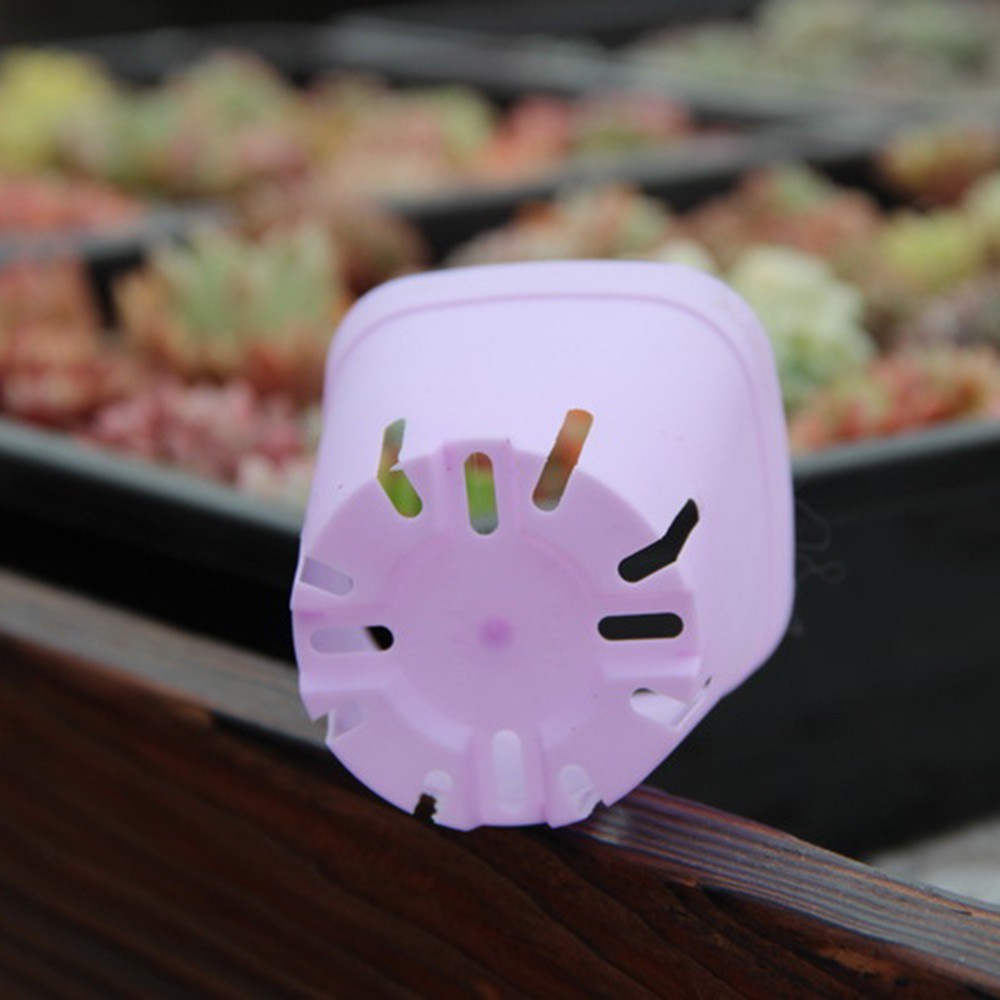 Chậu Nhựa Trồng Cây Mini Nhiều Màu