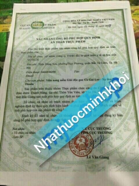 CÀ GAI LEO XẠ ĐEN,GIÚP GIẢI ĐỘC GAN (sản phẩm này không phải là thuốc không có tác dụng thay thế thuốc chữa bệnh)