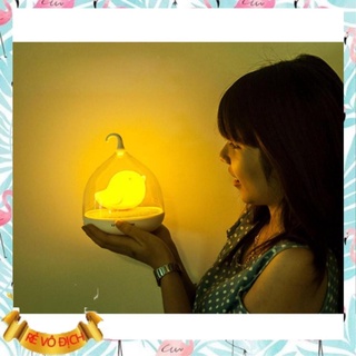 Đèn ngủ hình lòng chim Birdcage