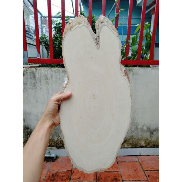 Lát gỗ Decor trang trí dài 44-48cm.