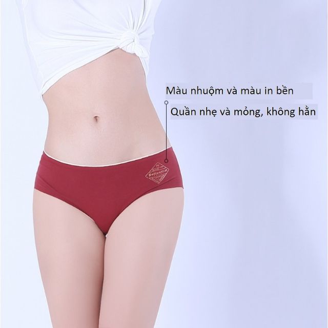 Quần Lót Cotton Kháng Khuẩn Không Đường May Chống Hằn Q05 | WebRaoVat - webraovat.net.vn