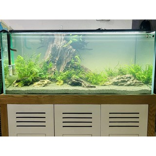 PHÂN NỀN EVER GREEN (BAO 5KG)