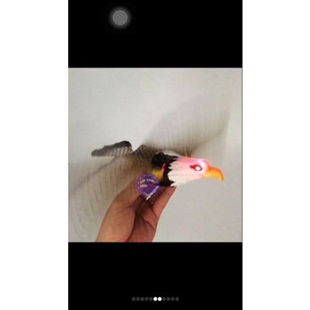 Chim đại bàng vỗ cánh, có đèn biết kêu