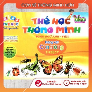 Bộ Thẻ Học Flashcard Thông Minh Song Ngữ Anh-Việt Chủ Đề Côn Trùng