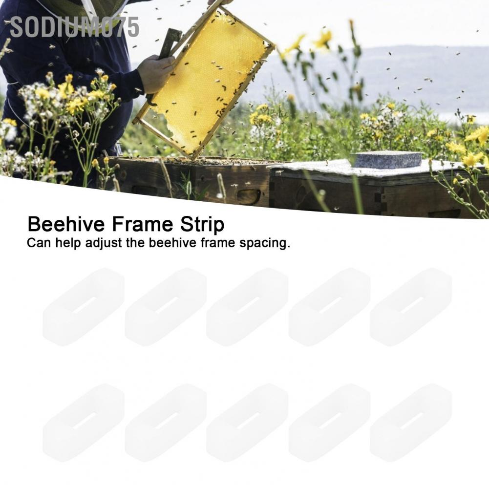 Sodium075 10PCS Beehive Frame Strip Plastic Spacer Beekeeper Beekeeping Tool Equipment
