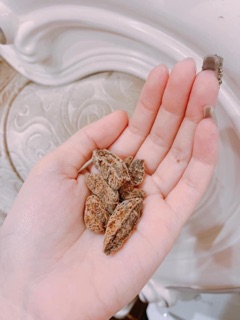 Ô Mai Đào Xí Muội