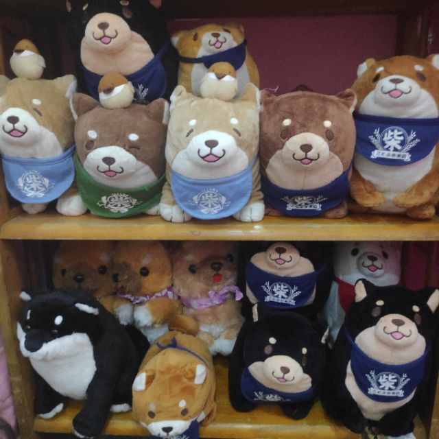 Gấu bông chó shiba