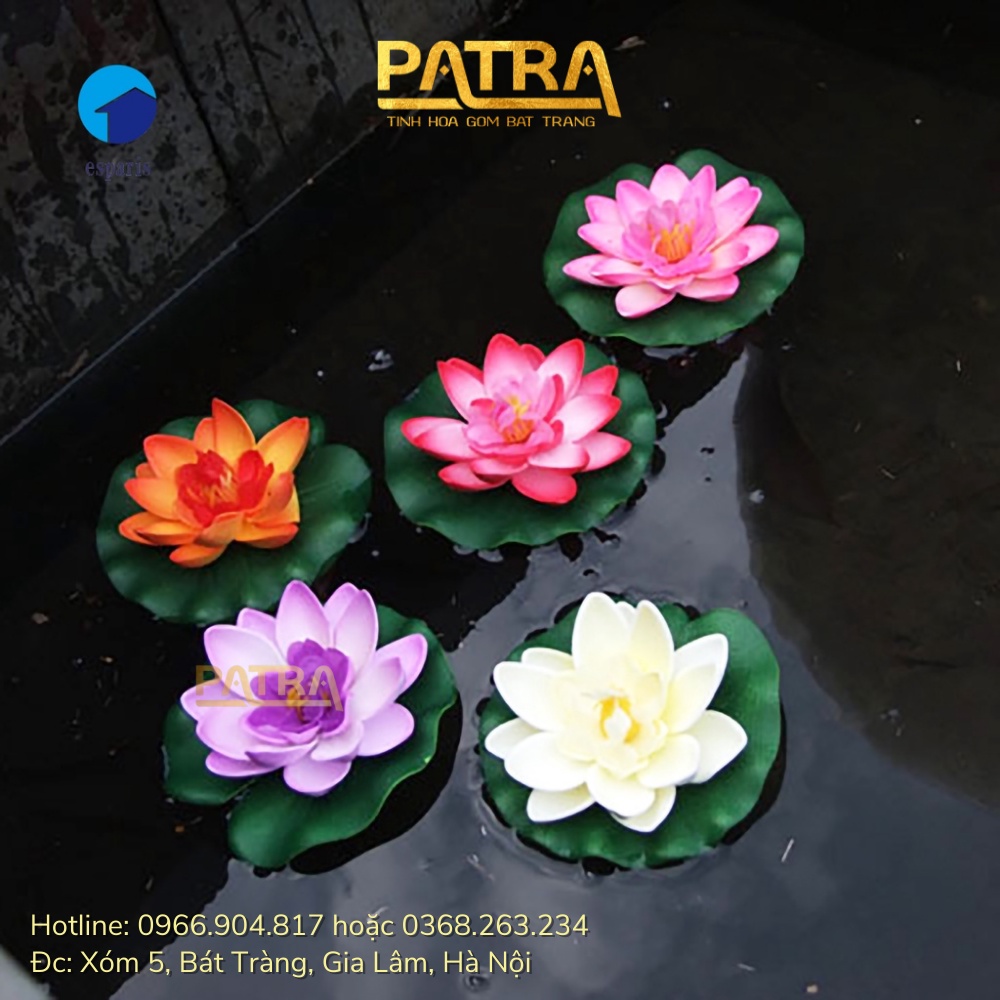 Hoa sen thả hồ trang trí tiểu cảnh, thả bát tụ thủy, thả hồ, thả bể cá