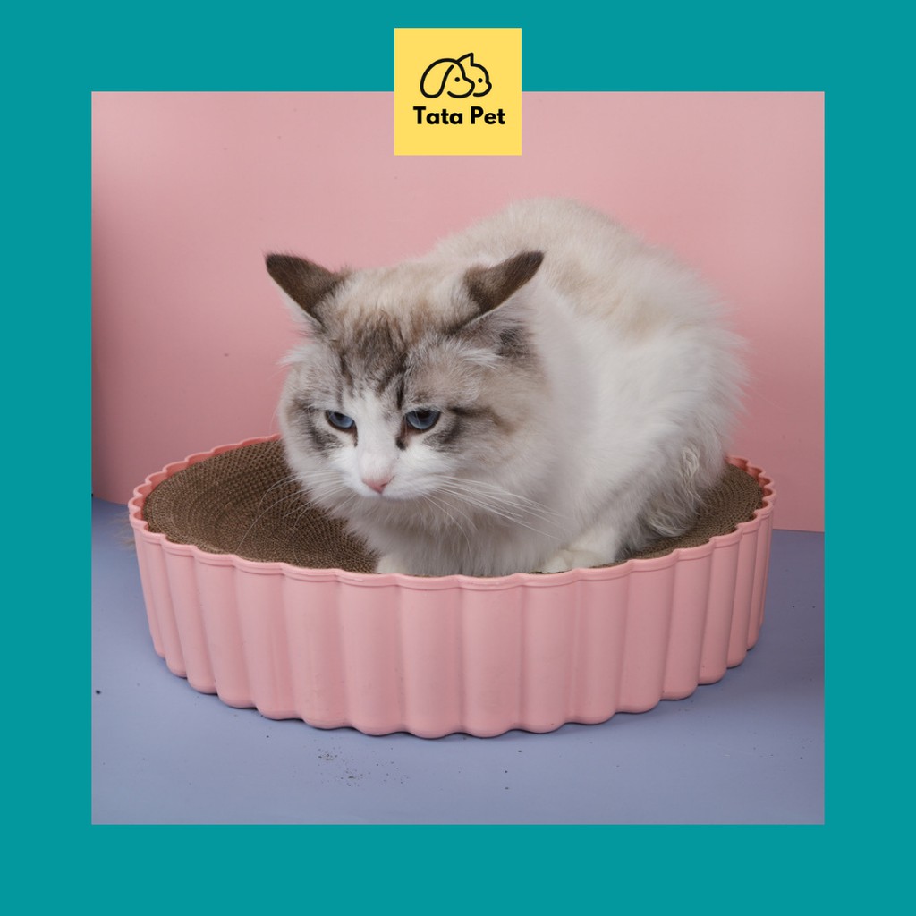 Bàn cào móng hình tròn bàn cào móng cattree- Ổ nằm cho mèo + catnip(CM1) TATA PET