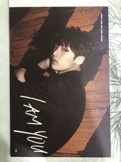 Postcard Straykids preorder