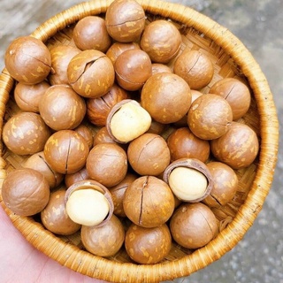 500g/1KG Hạt Mắc Ca Size Trung Sấy Giòn - Hạt Macca Sấy Giòn Giàu Dinh Dưỡng