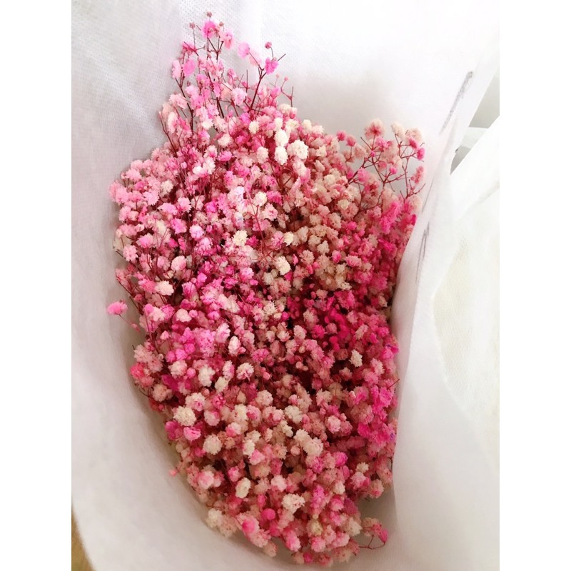 Hoa Baby bất tử Gypsophila hoa khô trang trí làm đồ handmade, bó 50g