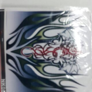 Decal dán mõm xe đẹp